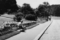 1959-jarni-parkove-vysadby